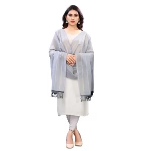 Generic Women's Cotton Silk Strips Printed Dupatta (Grey, Length:2-2.4 mtr)