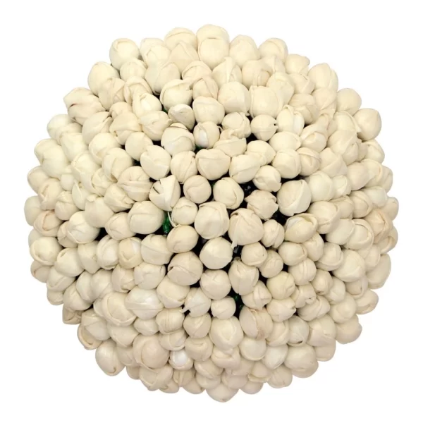 Generic Women's White Color Juda Pin / Hair Pin - Image 2