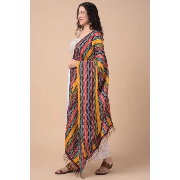 Generic Women's Chanderi Printed Dupatta (Multicolor, Length: 2.25 to 2.50 Mtr) - Image 3