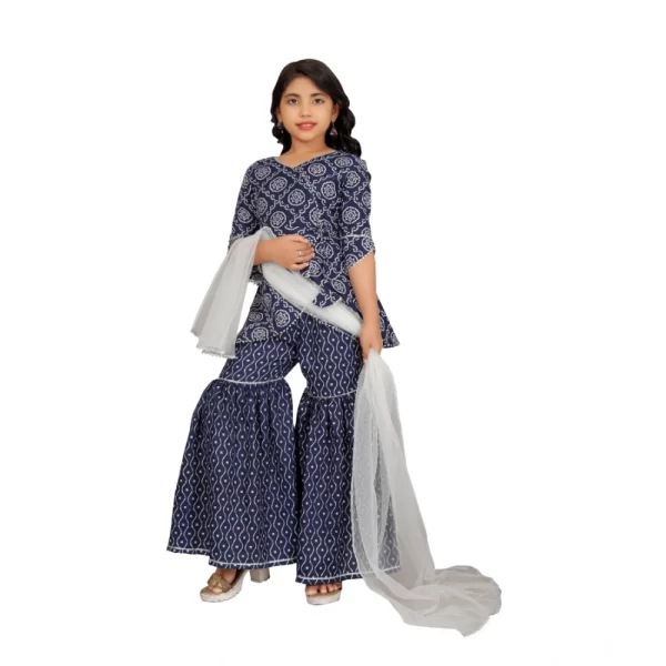 Generic Girl's Cotton Rayon Printed Top And Sharara Set (Blue) - Image 4