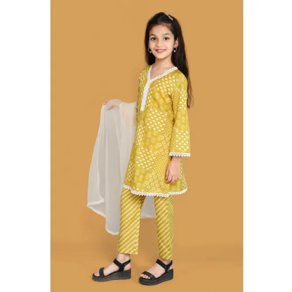 Generic Girl's Silk Blend Floral Prinded Shiffli Lace Salwar Kameez Dupatta Set (Yellow) - Image 5